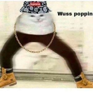 Meet your Posher, William